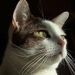 Meet your Posher, Ann